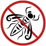 Destruction nid frelon asiatique Charente – Stop Nuisibles 16